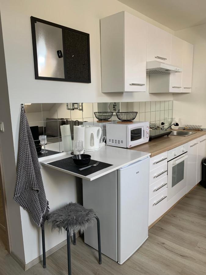 Apartment Mansarda Марібор Екстер'єр фото