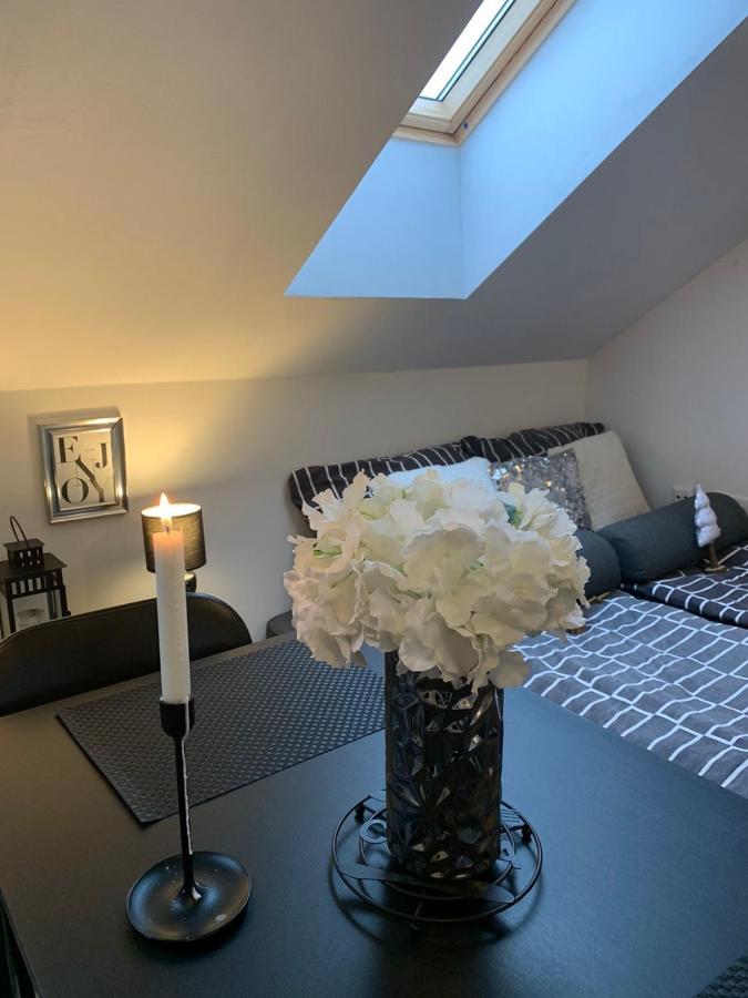 Apartment Mansarda Марібор Екстер'єр фото