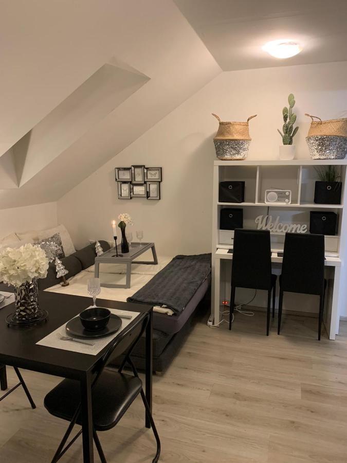 Apartment Mansarda Марібор Екстер'єр фото