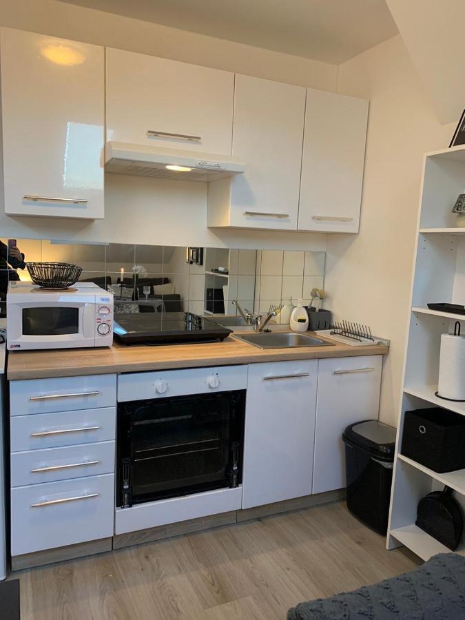 Apartment Mansarda Марібор Екстер'єр фото