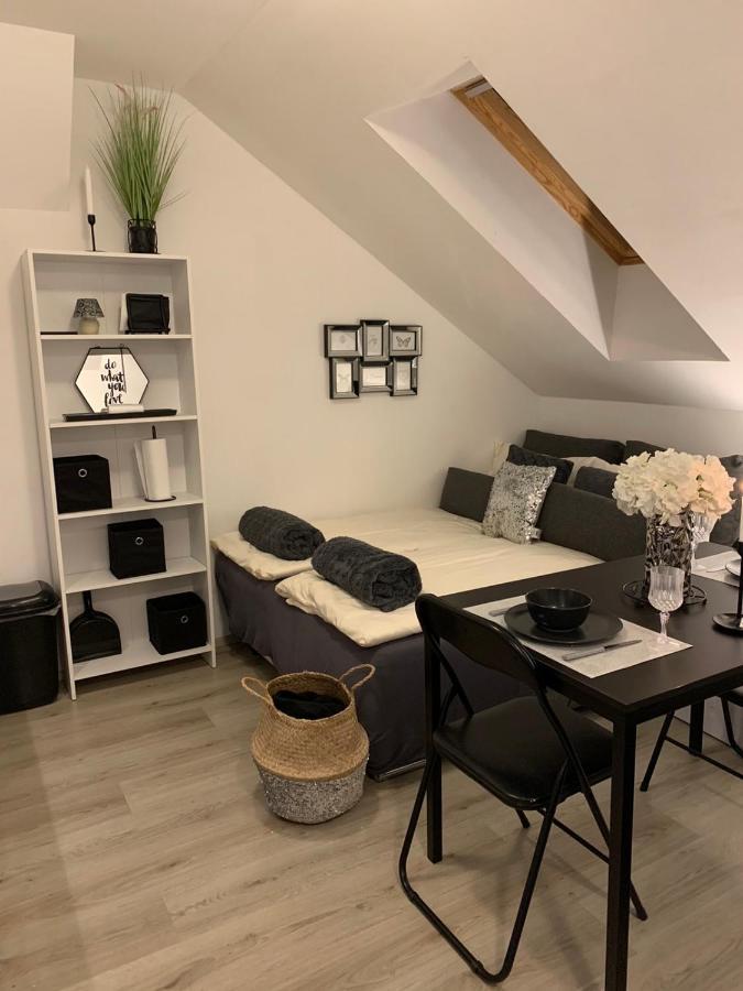 Apartment Mansarda Марібор Екстер'єр фото