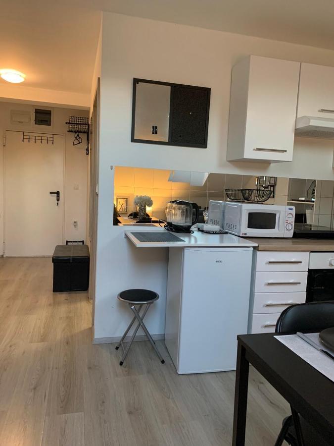 Apartment Mansarda Марібор Екстер'єр фото