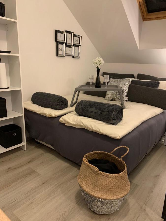 Apartment Mansarda Марібор Екстер'єр фото